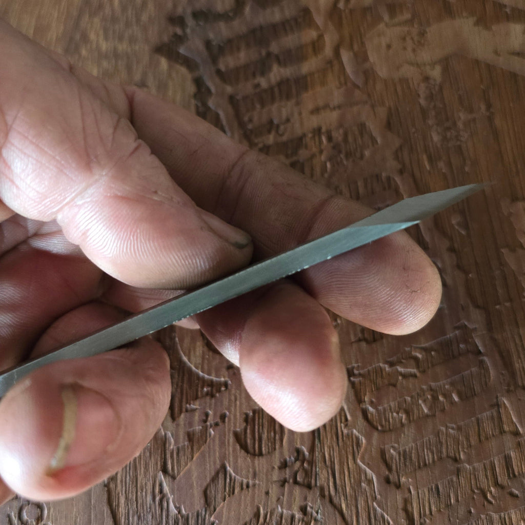Hand holding a small, flat object against a wooden background