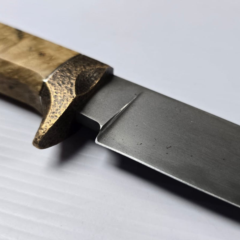 Hunter by Donovan Moolman