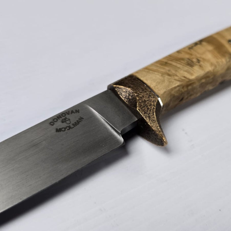 Hunter by Donovan Moolman